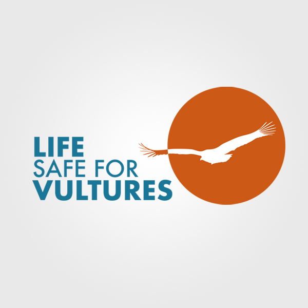 realizzazione logo life safe for vultures